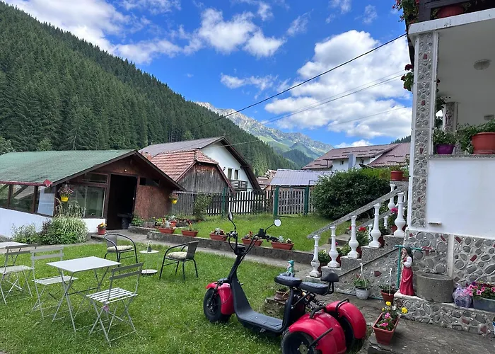 Pensiunea Rodica Moeciu De Sus